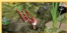 NINTENDO New Play Control! Pikmin (Wii) - LINING UP PIKMIN - 1