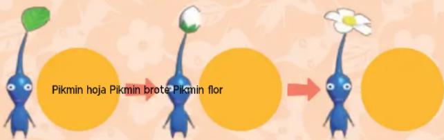 NINTENDO New Play Control! Pikmin (Wii) - Cómo MADURAN LOS PIKMIN - 1