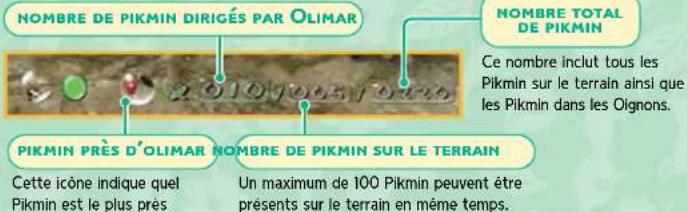 NINTENDO New Play Control! Pikmin (Wii) - LES INFORMATIONS SUR LES PIKMIN - 1