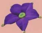NINTENDO Pikmin 2 (Wii) - Fleur cracheuse - 1