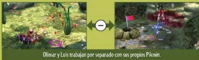 NINTENDO Pikmin 2 (Wii) - Exploración por分开arado - 21