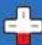 NINTENDO Pikmin 2 (Wii) - Boton B - 6