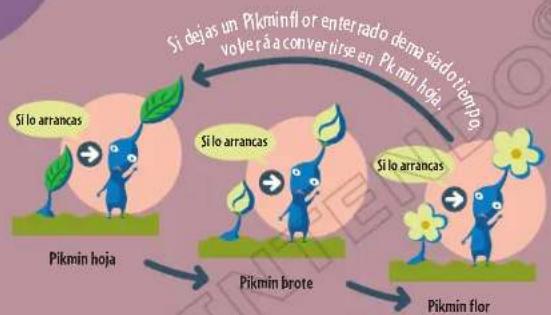 NINTENDO Pikmin 2 (Wii) - Los Pikmin maduran - 1