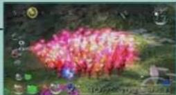 NINTENDO Pikmin 2 (Wii) - Brume épiciée - 2