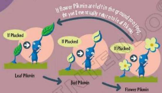 NINTENDO Pikmin 2 (Wii) - Pikmin Growth - 1