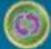 NINTENDO Mario Party 9 (Wii) - Cases - 6