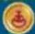 NINTENDO Mario Party 9 (Wii) - Spaces - 17