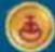 NINTENDO Mario Party 9 (Wii) - Casillas - 17