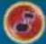NINTENDO Mario Party 9 (Wii) - Cases - 4