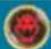NINTENDO Mario Party 9 (Wii) - Spaces - 10