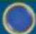 NINTENDO Mario Party 9 (Wii) - Spaces - 2