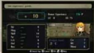NINTENDO Fire Emblem Radiant Dawn (Wii) - Expérience gratifiante - 1