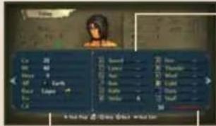NINTENDO Fire Emblem Radiant Dawn (Wii) - Páqina del Segundo Estatus - 1