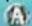 NINTENDO FlingSmash (Wii) - MARCA - 1