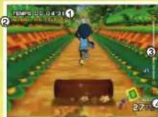 NINTENDO Active Life Outdoor Challenge (Wii) - Piste du bûcheron - 1