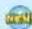 NINTENDO Super Mario Galaxy (Wii) - Cartes - 5
