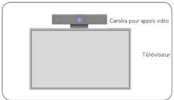 Caméra pour appels vidéo Téléviseur