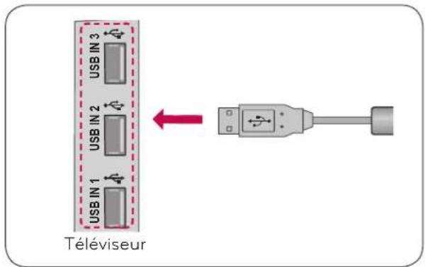 Téléviseur