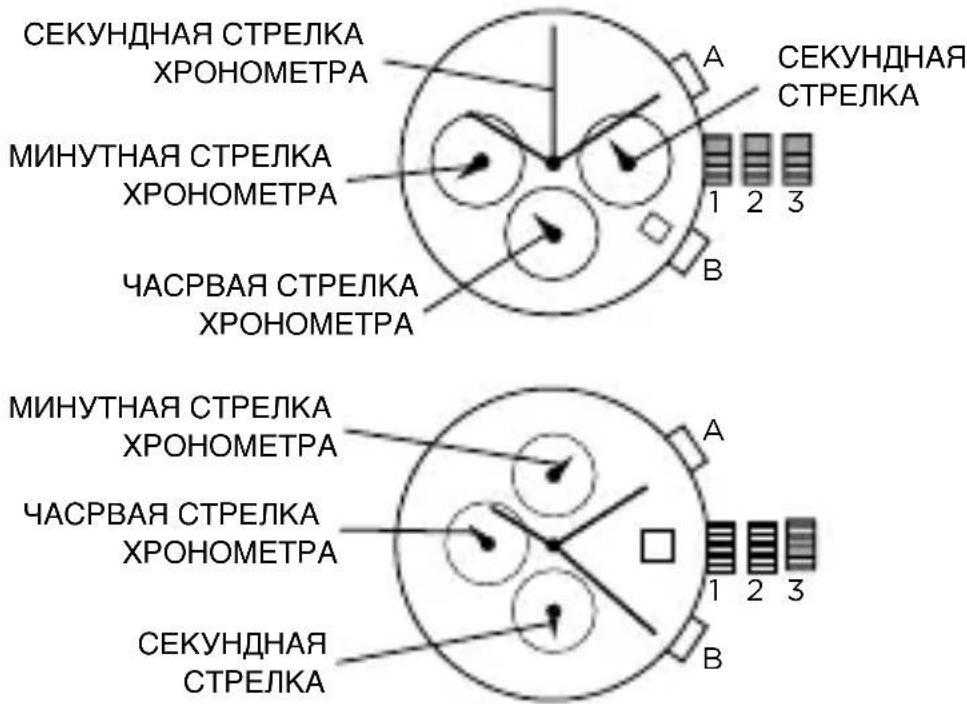 Armani AR2434 - XPOHOMETP - 1