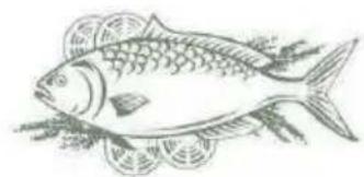 PROLINE PLI135F2LED - Poisson et fruits de mer - 1