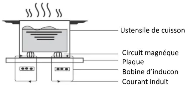 PROLINE PIH6500 - PRINCIPLE DE FONCTIONNEMENT DE L'INDUCTION - 1