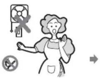PROLINE PGH4IX - The fuel gas contains mercaptan so that you can smell the gas leak (smell of roen garlic or egg). If gas seems to leak, take the acons as follows: - 1