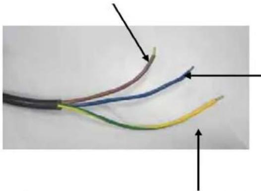 PROLINE P601IMCWHT - Electrical Connecon - 1