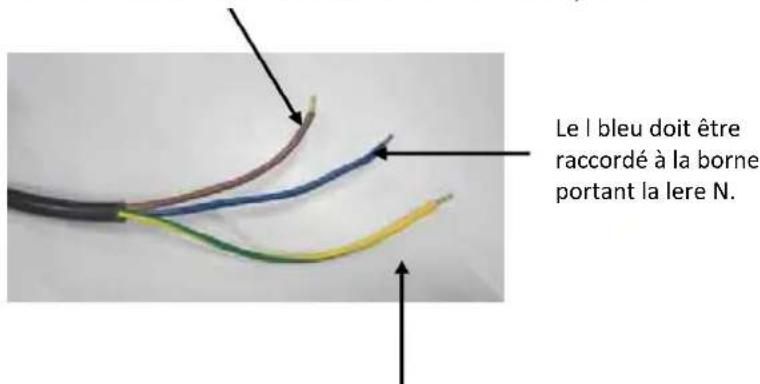 PROLINE P601IMCWHT - Branchements électriques - 1