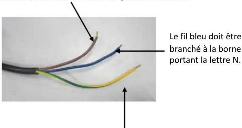 PROLINE MFP6500SSB2 - BRANCHEMENT ÉLECTRIQUE - 1