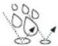CRIVIT IAN 292637 - Dimensiones: - 3