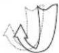 CRIVIT IAN 292637 - Dimensiones: - 2