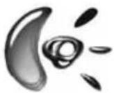 LOGITECH MK300 - مِيْزَانُتَاتِ المُلْوَيْسِن: الْأَرْزِارِ وَالْتَمْرِير - 16