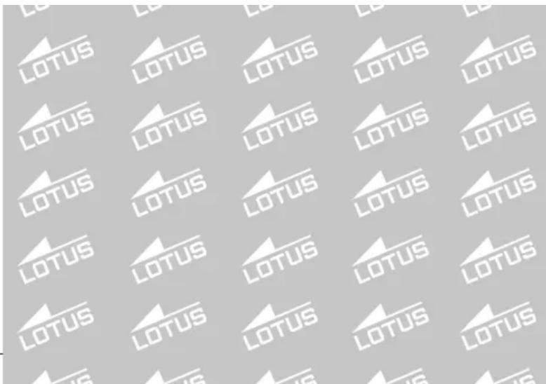 Lotus 18637 Minimalist - (ANCHE DOPO LA SOSTITUZIONE DELLA PILA) - 2