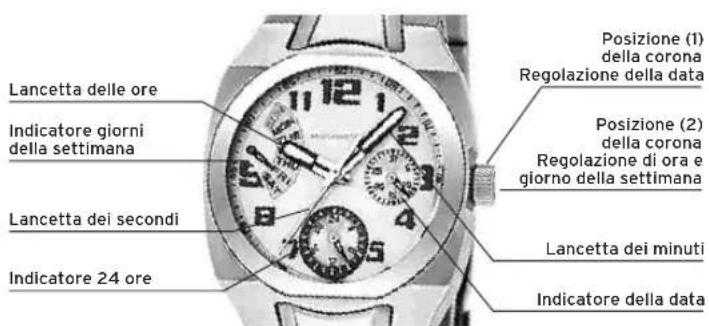 Lotus 15858 - DISPLAY EPULSANTI - 1