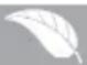 SABA LTS61217 - - ENVIRONNEMENT - 1