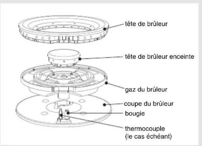 Pelgrim GK732ONYA - Utilisation de la grille accessoire Wok (GK731 et GK795) - 4