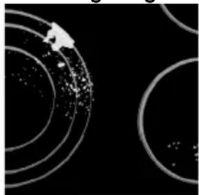Pelgrim CKB840ONY - Cleaning and maintenance of ceramic-glass hob - 3