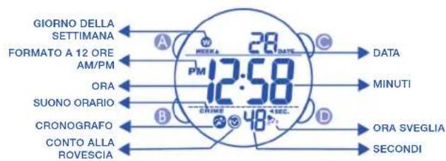 Calypso K5549 - DIGITAL - 1