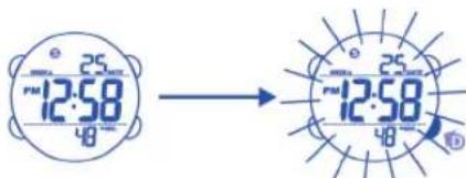Calypso K5549 - PER UTILIZZARE LA LUCE - 2