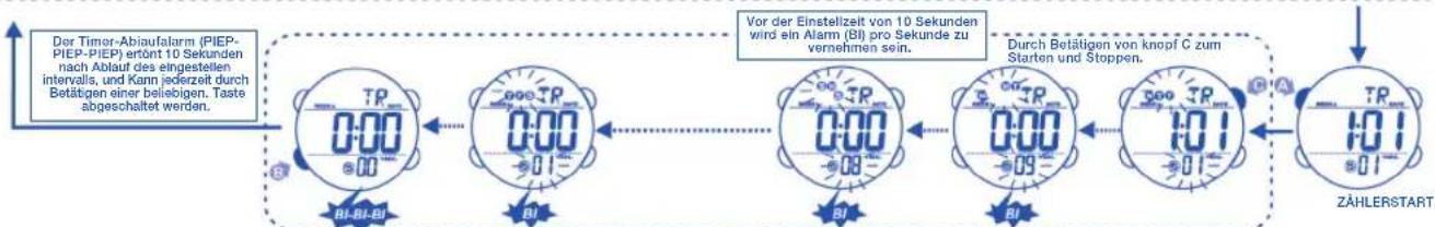 Calypso K5549 - DAS EINSTELLLEN DES COUNTERD ZAHLERS - 2