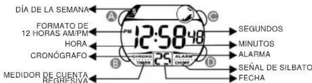 Calypso K5612 - 1