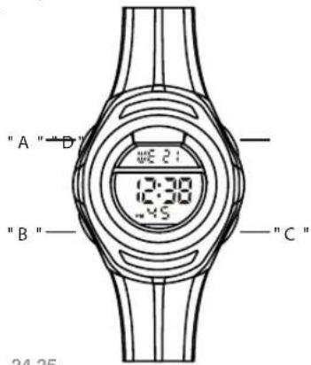 Calypso K5727 - 1