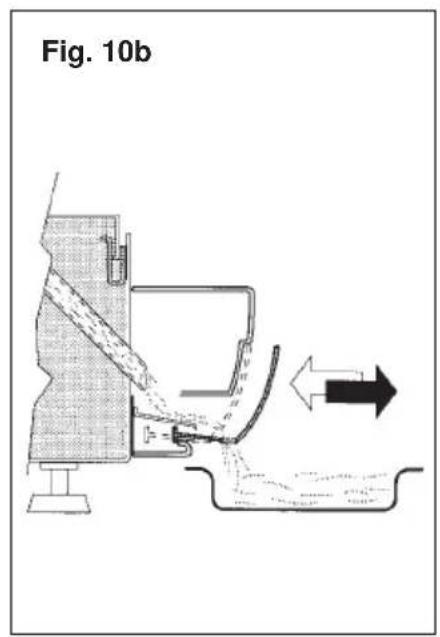 Fig. 10b