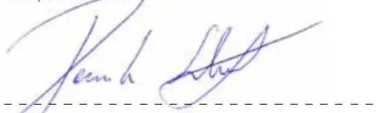 Erba 17015 - KONFORMITÄTSERKLÄRUNG DECLARATION OF CONFORMITY - 1