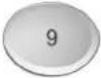 BRANDY BEST BLACK6D - Carga de la Cesta - 10
