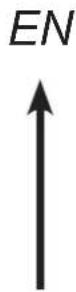 BRANDY BEST BLACK6D - Cesta de Cubiertos - 1