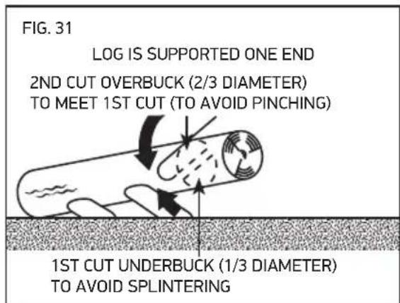 OREGON SCIENTIFIC CS1500091 - BUCKING A LOG - 2
