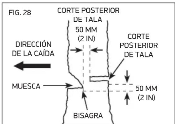 OREGON SCIENTIFIC CS1500091 - PODA - 6