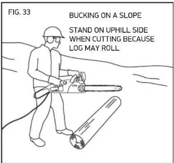 OREGON SCIENTIFIC CS1500091 - BUCKING A LOG - 4