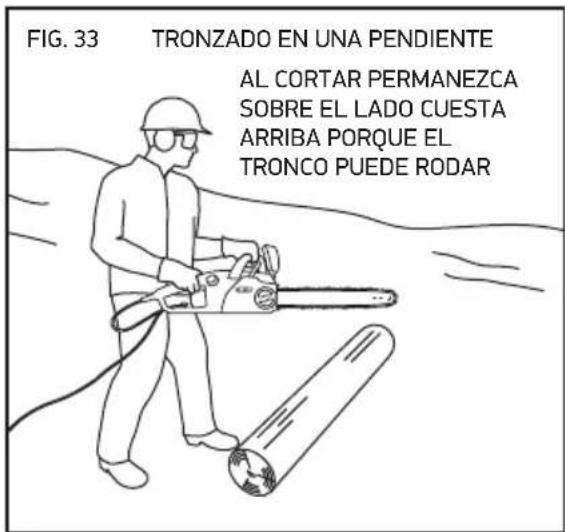OREGON SCIENTIFIC CS1500091 - TRONZADO DE UN TRONCO - 4